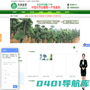 对节白蜡盆景价格_下山桩_对节白蜡造型树 - 湖北天创盆景有限公司