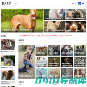 猎犬之家 - 最新最全的中国猎犬信息网站