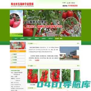 寿光市玉海种子经营部-番茄苗种植基地,辣椒苗供应商,茄子苗基地