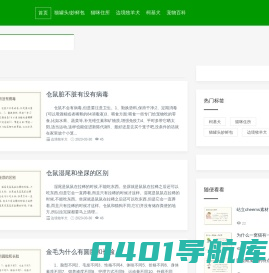 廖桥宠物网,猫罐头/妙鲜包,猫咪住所,边境牧羊犬,柯基犬