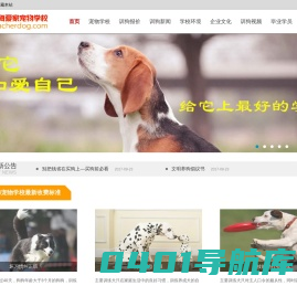 训狗学校丨上海爱家宠物学校训狗学校丨上海爱家宠物学校