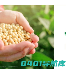 三清白玉豆腐哪里卖_卤水豆腐_烟台豆腐厂家_新鲜豆腐哪里卖_烟台三清白玉食品有限公司