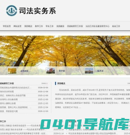 司法实务系