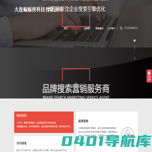 蝙蝠侠IT - 品牌搜索营销，十五年专注企业搜索引擎优化