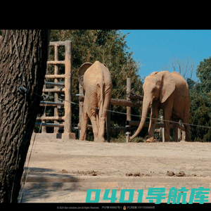 星弩科技