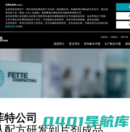 菲特中国 : 菲特公司
