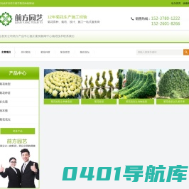 开封菊花_菊花造型_菊花种苗_开封前方园艺菊花种植基地