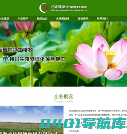 河北莲源水生植物有限公司