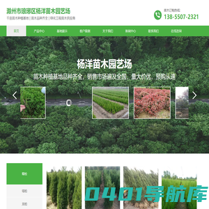 滁州市琅琊区杨洋苗木园艺场