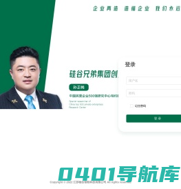 黄金眼系统