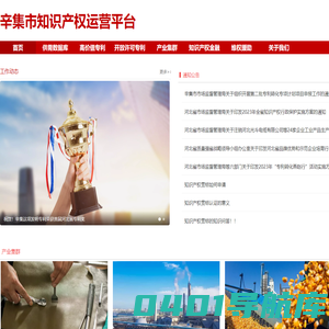 辛集市知识产权运营平台
