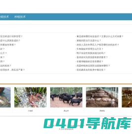 新农致富网 - 农业种养殖经验分享网站