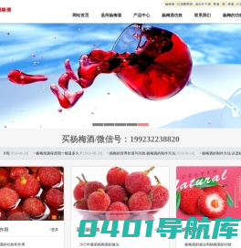 【杨梅酒】杨梅酒的功效和作用_杨梅酒的做法_杨梅泡酒_温州杨梅酒