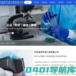 武汉蓝邦环境工程有限公司