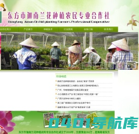 东方市迦南兰花种植农民专业合作社