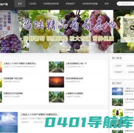 田园猫特产官网|马陆葡萄品种采摘礼盒价格|上海及长三角名优特产