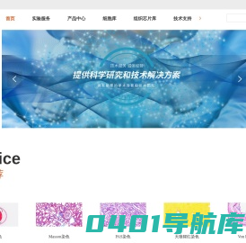 病理实验外包-组织包埋-组织切片-免疫组化-形态染色-上海睿宝和生物科技有限公司
