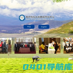 电子科技大学西非研究中心