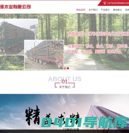 落叶松打桩木批发-护坡河道木桩-江苏多木多木业有限公司