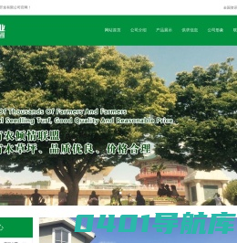 榉树-句容苗圃-红榉树-江苏成富农业技术开发有限公司