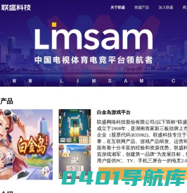 湖南联盛网络科技股份有限公司