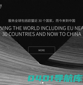 塔维中国