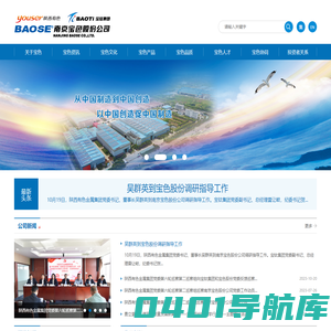 宝色股份 BAOSE.COM