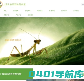 上海大自然野生昆虫馆