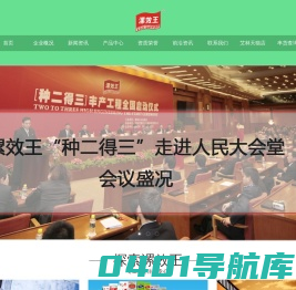 首页 - 漯效王集团