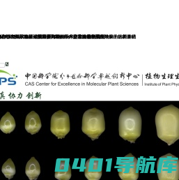 中国科学院分子植物科学卓越创新中心/中国科学院上海植物生理生态研究所