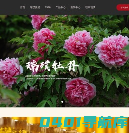 牡丹籽油_牡丹苗_菏泽瑞璞牡丹-菏泽瑞璞牡丹产业科技发展有限公司