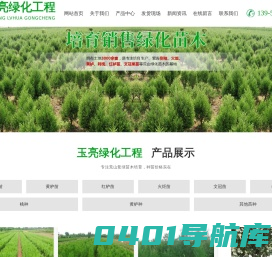 青州玉亮绿化工程有限公司,侧柏苗,黄栌苗,红栌苗,火炬苗,文冠苗种植基地批发