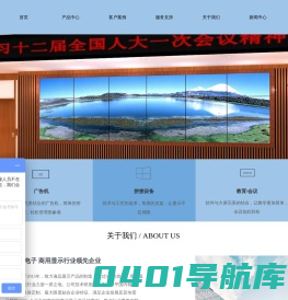 深圳深视电子有限公司