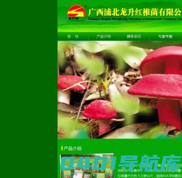 野生红椎菌_广西红椎菌_龙升野生红椎菌_广西浦北龙升红椎菌有限公司