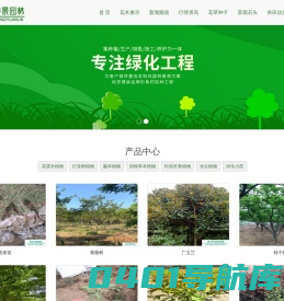绿化苗木公司-沭阳艺诗景园林苗木场