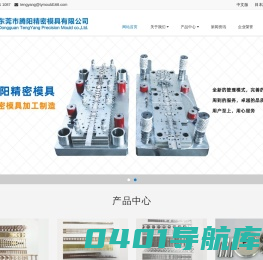 东莞市腾阳精密模具有限公司