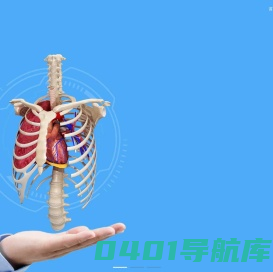 维萨里数字科技