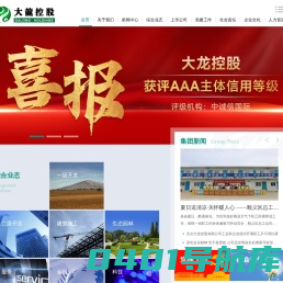 大龙控股