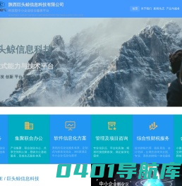 陕西巨头鲸信息科技有限公司