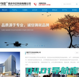 重庆电磁流量计-超声波流量计厂家-双声多声道阀控水表公司