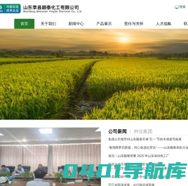 山东莘县颖泰化工有限公司