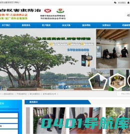 深圳白蚁防治公司|龙岗白蚁防治|平湖白蚁防治|观兰白蚁防治|龙华白蚁防治公司