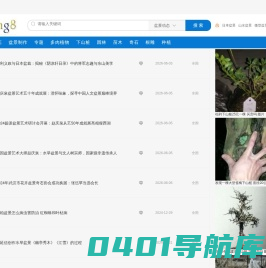 【PenJing8】-- 一个分享盆景制作的网站