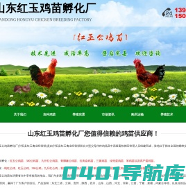山东红玉鸡苗孵化厂-红玉公鸡苗,380公鸡苗批发厂家,九斤红公鸡苗供货商,绿壳蛋鸡苗,青脚麻鸡苗孵化场,宁阳县红玉禽业经营部