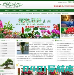 深圳市西海花港园艺有限公司|深圳室内花卉租赁|深圳室外花卉租赁|深圳植物花卉|深圳花卉|深圳花卉市场|深圳花卉植物|深圳花卉租摆