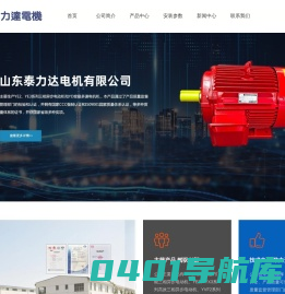 荣成市泰力达电机有限公司【官方网站】