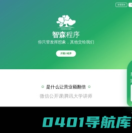 智森程序