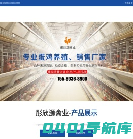 山东彤欣源禽业有限公司-蛋鸡养殖，蛋鸡销售