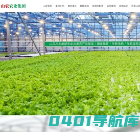 东莞蔬菜公司_东莞蔬菜配送_东莞蔬菜批发-广东山农农业集团有限公司