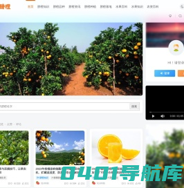 安远脐橙网-江西赣南脐橙批发、零售、代理综合信息平台